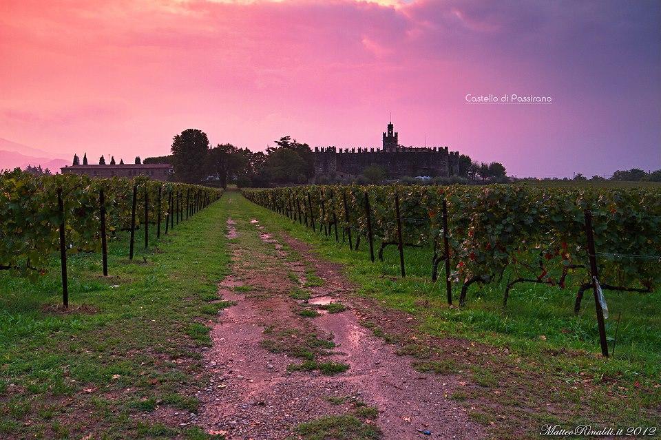 Wine & Lake In Franciacorta Passirano Экстерьер фото