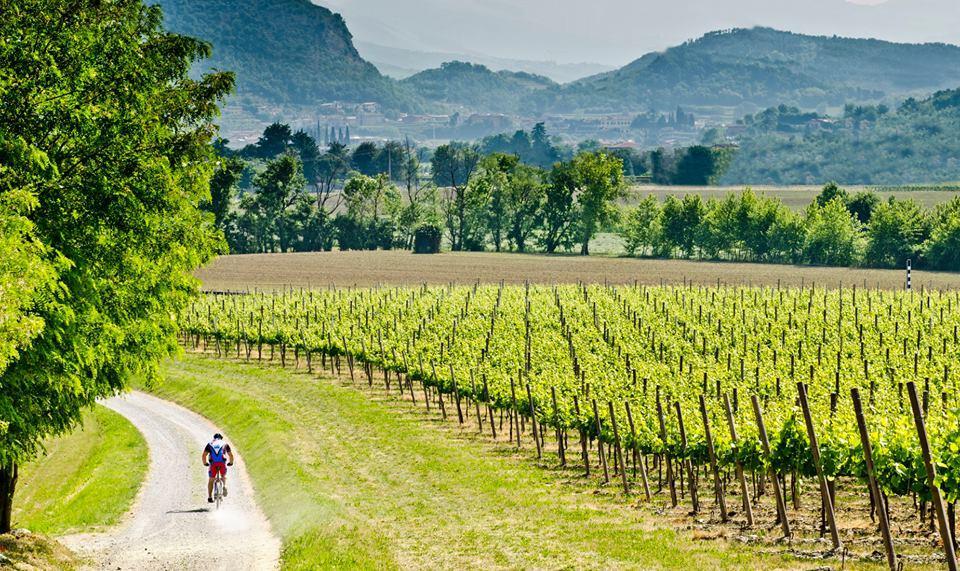 Wine & Lake In Franciacorta Passirano Экстерьер фото